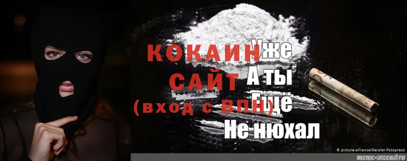 Cocaine 99%  купить закладку  Козьмодемьянск 